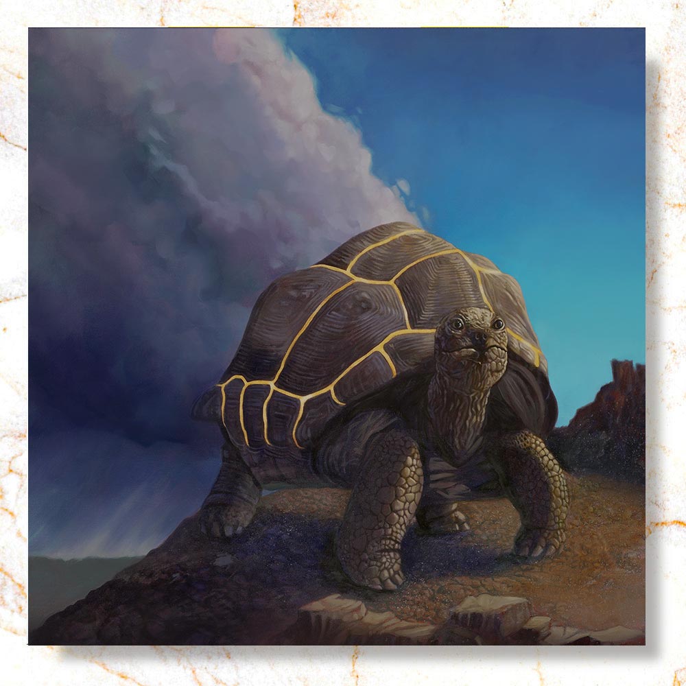 Kintsugi Tortoise Mini Print - Timed Release ⏳
