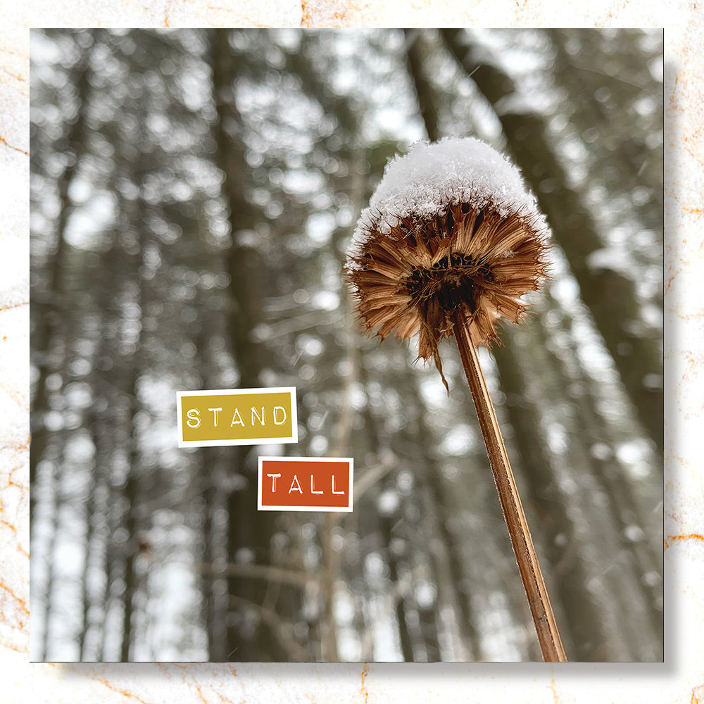 Stand Tall Mini Print - Timed Release ⏳