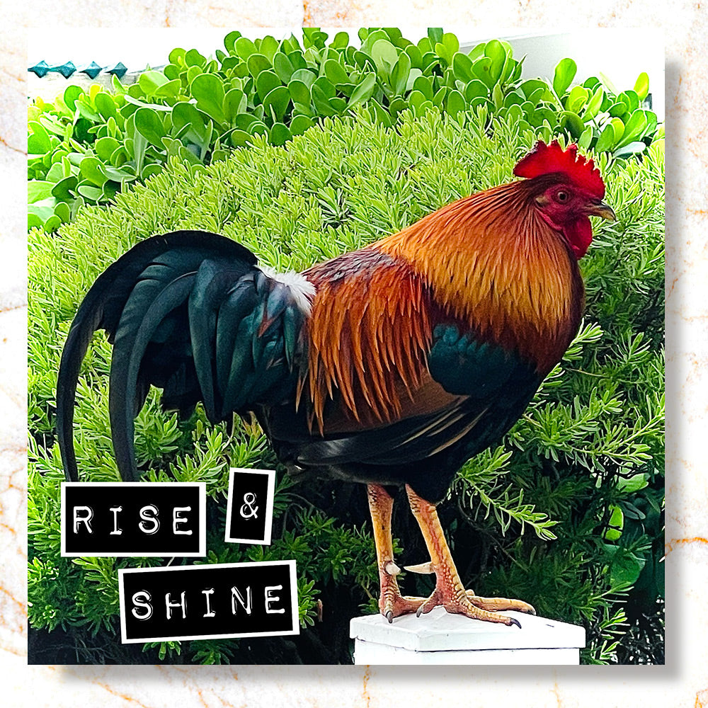 Rise & Shine Mini Print - Timed Release ⏳