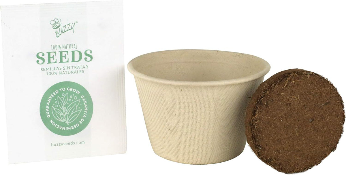 Save The Bees Mini Wildflower Kit