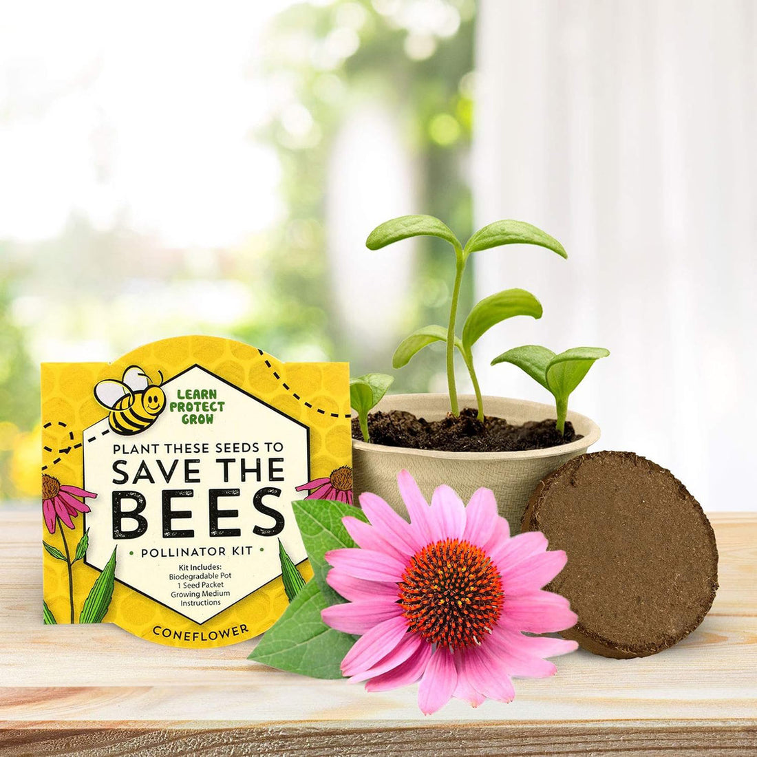 Save The Bees Mini Wildflower Kit