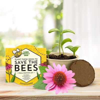 Save The Bees Mini Wildflower Kit