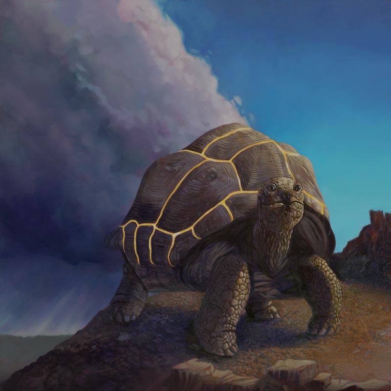 Kintsugi Tortoise Original Art